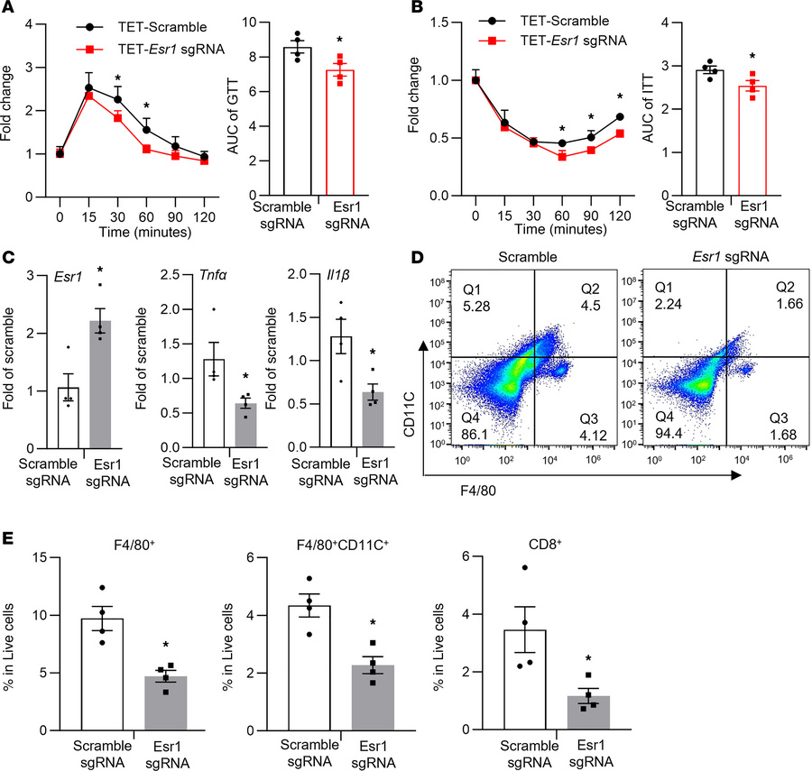 Targeted methylation at the Esr1 promoter regulates adipose tissue infla...