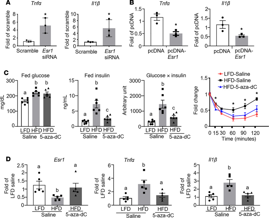 Inhibiting DNA methylation increases Esr1 expression and decreases infla...