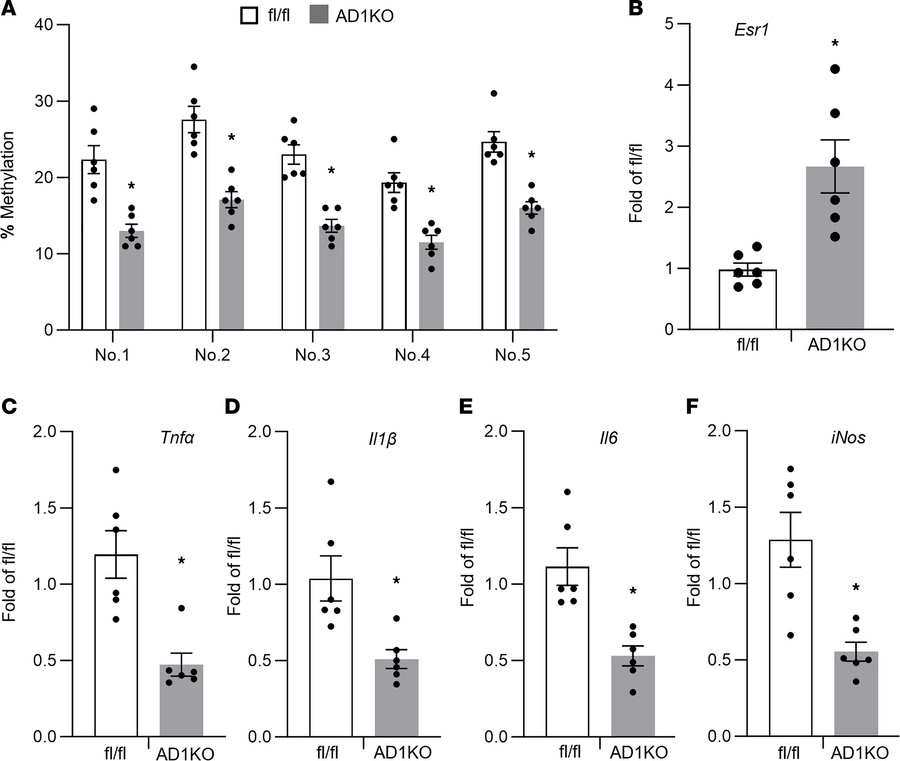 Adipocyte Dnmt1 deletion upregulates Esr1 expression and reduces adipose...