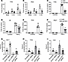 Adipocyte Esr1 mediates the beneficial effects of inhibiting DNA methylatio