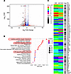 RNA-Seq analysis in gWAT of female AD1KO and fl/fl mice fed with HFD.