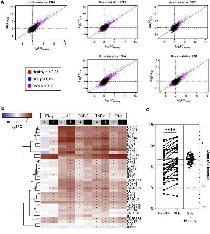 Fibroblasts from SLE skin are hyperresponsive to cytokine stimulations.
...