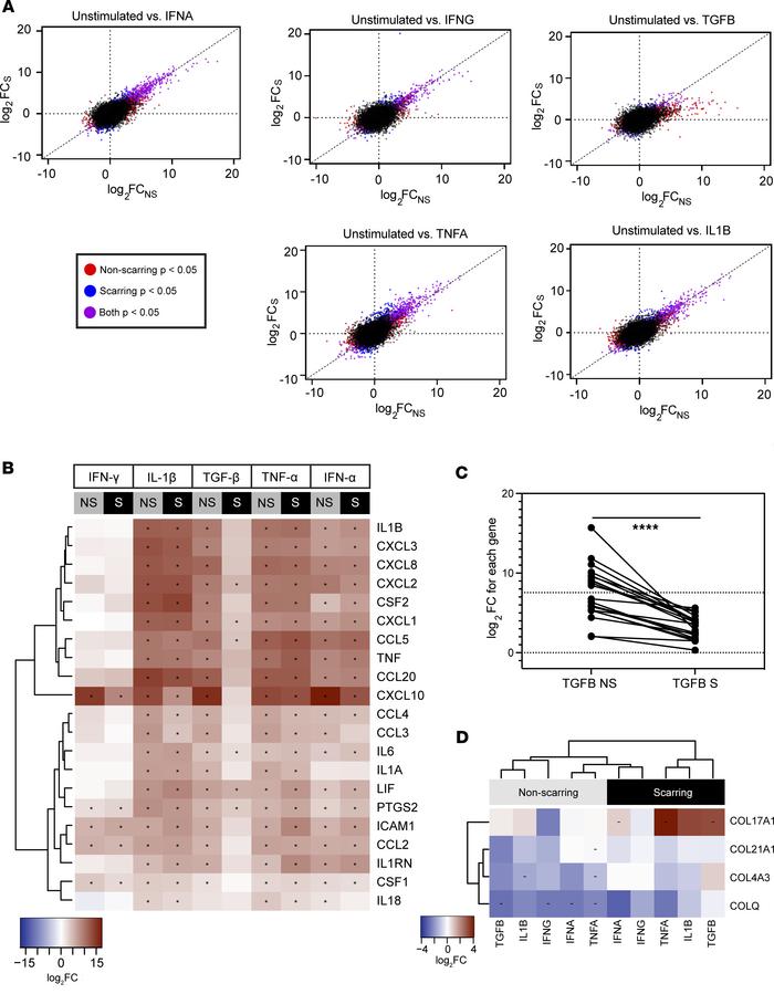 Dermal fibroblasts from patients with SLE with scarring CLE upregulate i...