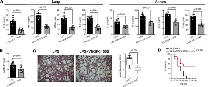 VEGF-C156S posttreatment promotes pulmonary inflammation resolution in L...