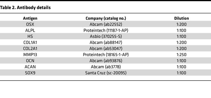 Antibody details