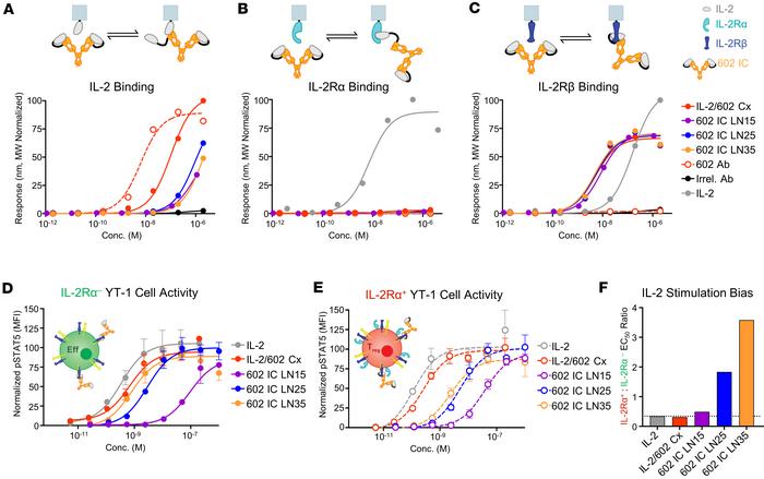 Increasing the linker length within ICs improves stability and enhances ...