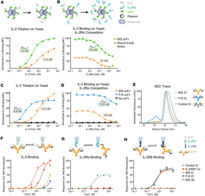Engineered 602 variants exhibit stronger competition with IL-2Rα compare...