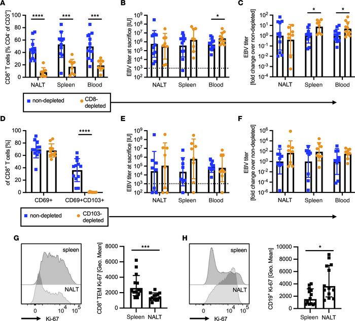Circulating CD8+ T cells, but not NALT TRM, control EBV viral loads.
(A)...