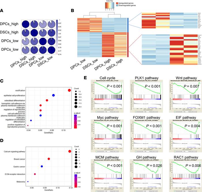 The molecular mechanism underlying phenotypic differences between low-pa...