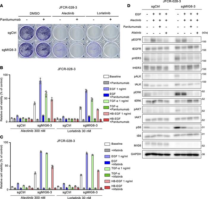 Combination therapy with EGFR inhibitors and ALK-TKIs can overcome the r...