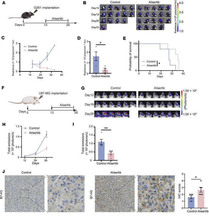 AURKA inhibitors suppress tumor growth and upregulate B7-H3 expression.
...