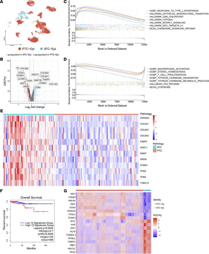 Distinct molecular features of ATC-Epis might contribute to the progress...