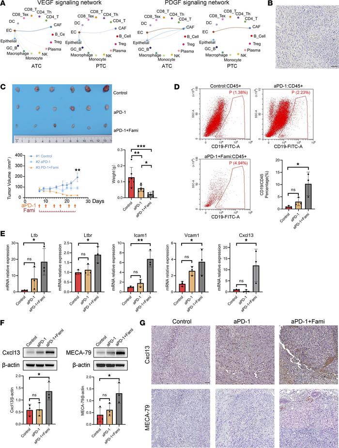 Famitinib plus immunotherapy could improve the antitumor effect in a mur...