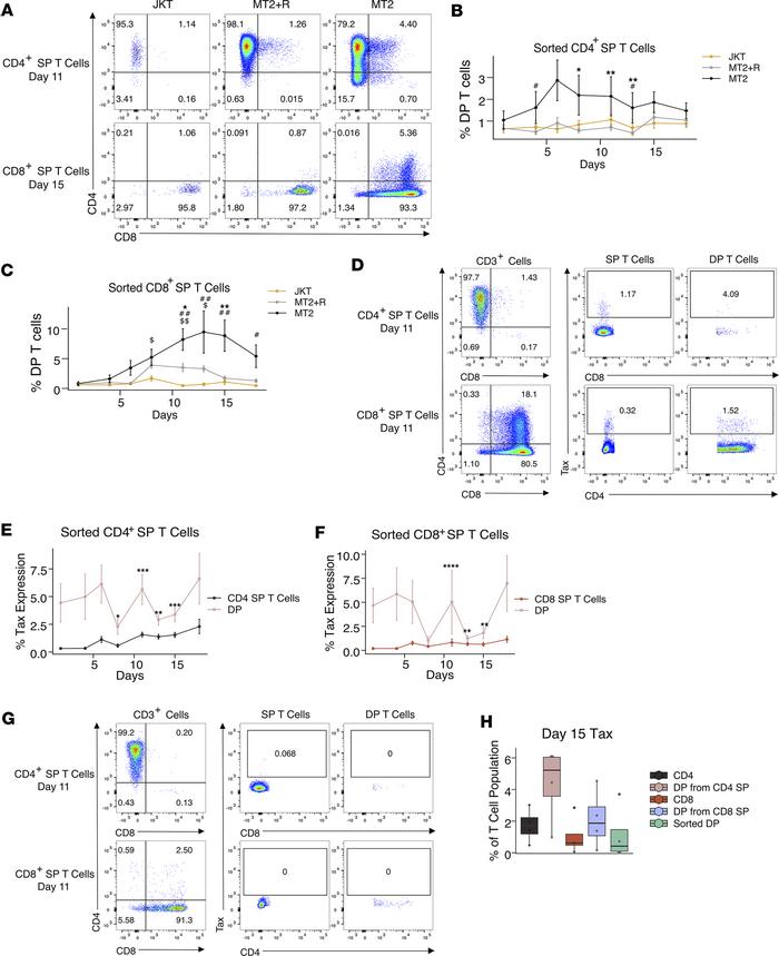 Origin of DP T cells in HTLV-1 infection.
(A) Representative plot showin...
