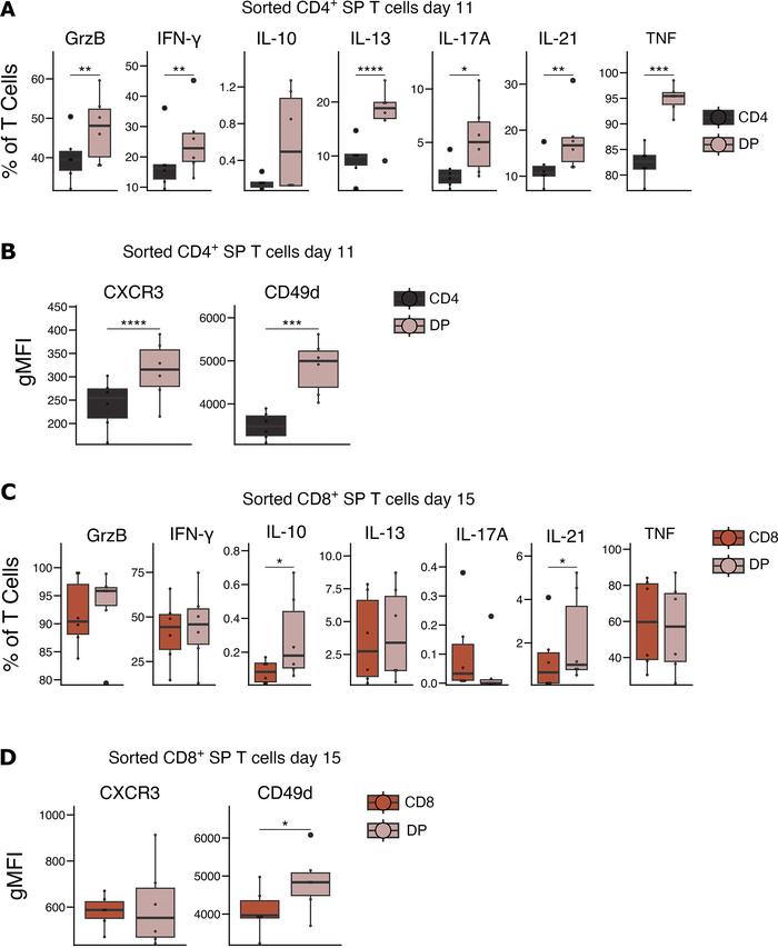 Characterization of the emerged DP T cell population after HTLV-1 infect...