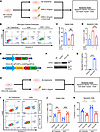 The effect of exogenous and endogenous CCL5 in the apoptosis of podocytes.
