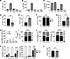 Loss of IL-1R2 in Tfr cells increases the GC response after immunization.