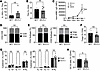 IL-1R1 signaling is not essential for induction of the GC response after im