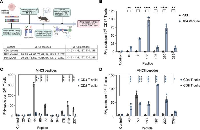 Murine pancreatic cancer MHCII predicted neoantigens are immunogenic in ...