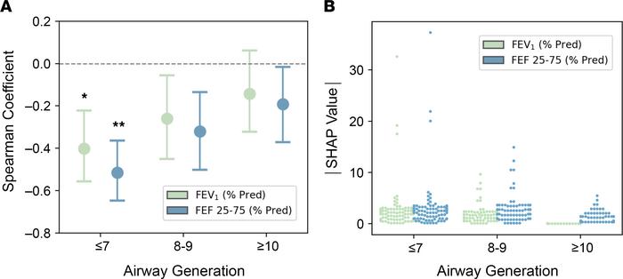 Proximal plugs are more consequential for spirometric measures of airflo...