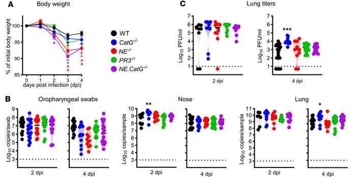 
CatG–/– mice have increased viral replication in the lungs and in the n...
