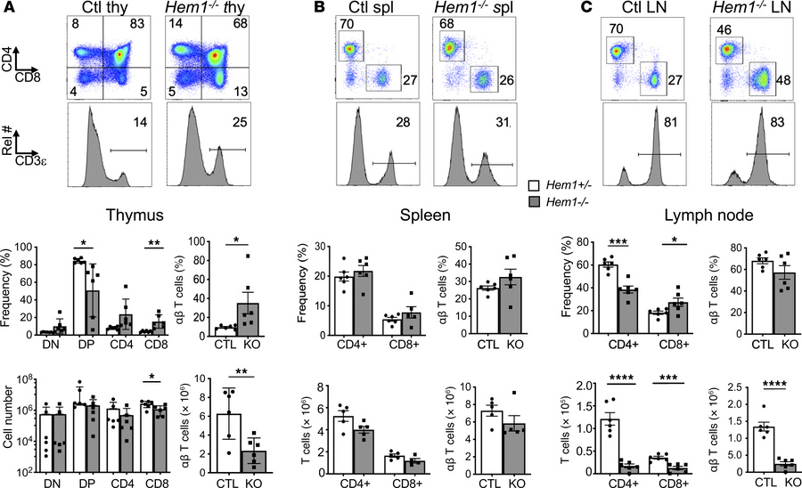 Constitutive disruption of Hem1 disrupts T cell development.
Total thymo...