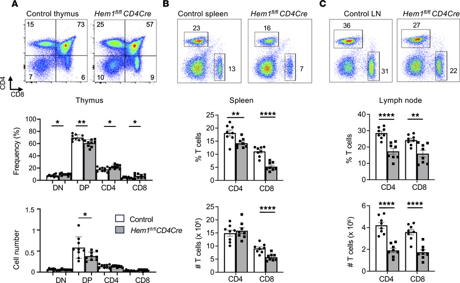 T cell–specific conditional deletion of Hem1 disrupts T cell development...