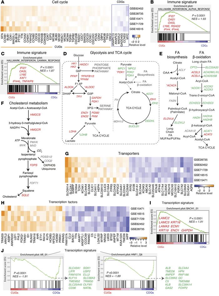 Consistent genes are components of multiple pathways.
(A) Heatmap showin...