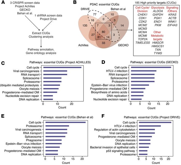 High-priority consistent genes.
(A) Workflow for the analysis of the CRI...