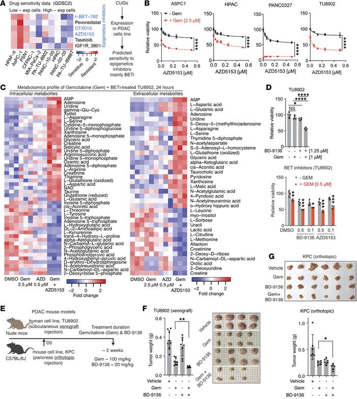 Expression of high-priority genes predicts therapy response.
(A) Heatmap...