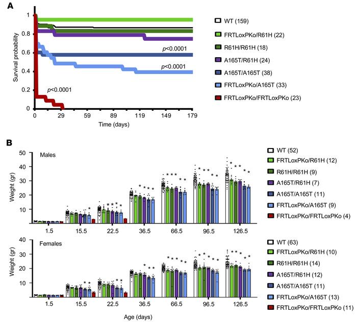 Survival and growth of mutant mice associated with Adamtsl2 allelic comb...