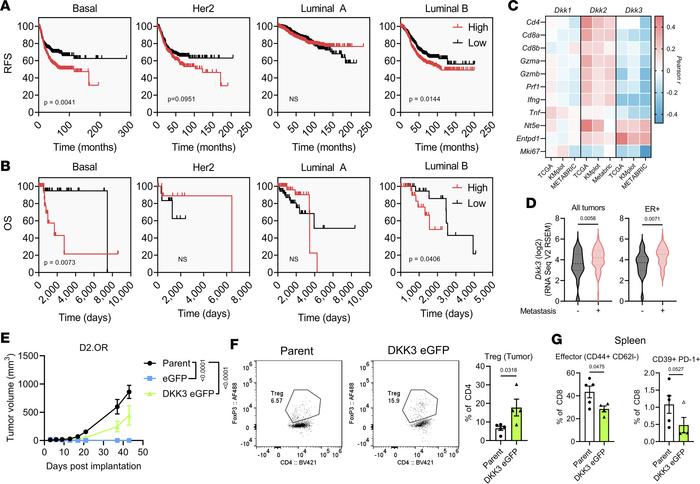 DKK3 is associated with poor survival, decreased effector function, and ...