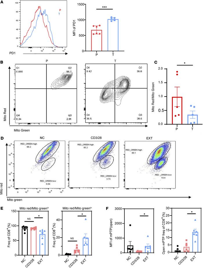 Mitochondrial membrane potential of T cells in tumor tissue and adjacent...
