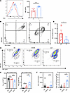Mitochondrial membrane potential of T cells in tumor tissue and adjacent ti