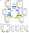 Metabolic imbalance of Tex cells.