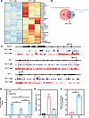 Epigenetic reprogramming of Tex cells.