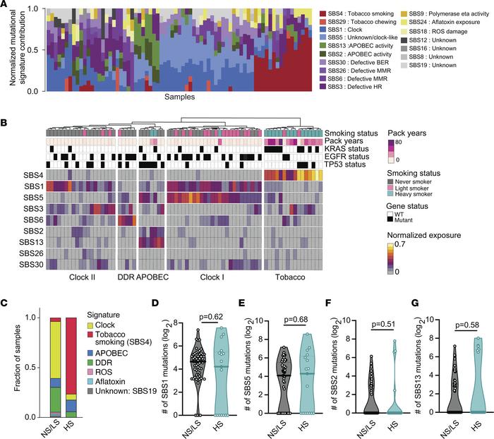 Somatic mutational signatures distinguish tumors from never-/light and h...