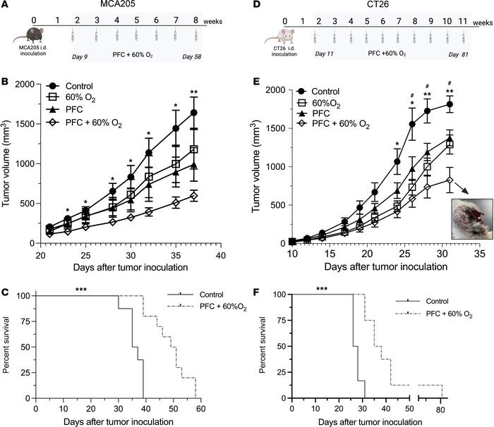 Oxygenation agent therapy induces tumor regression and improves survival...