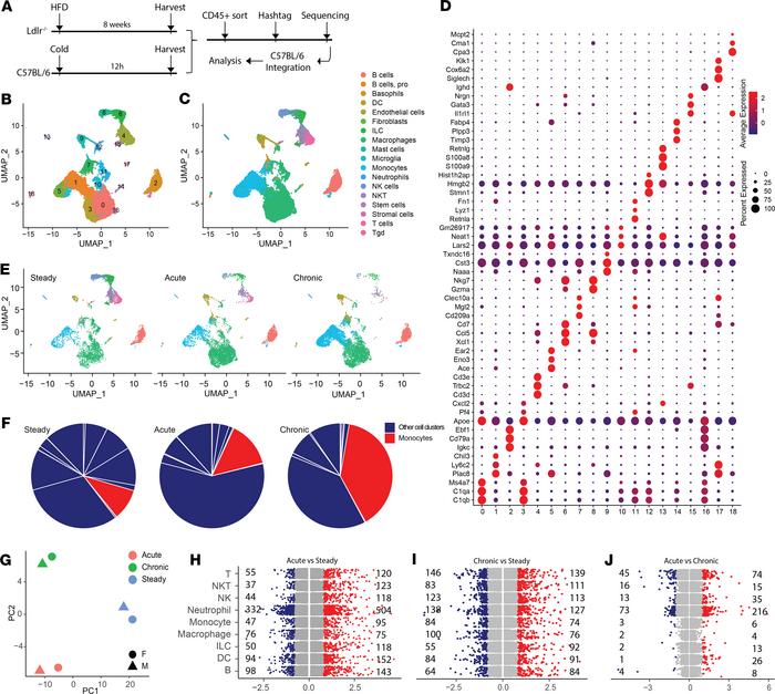 scRNA-Seq profiling of AG immunity.
(A) scRNA-Seq analysis of AG CD45+ s...
