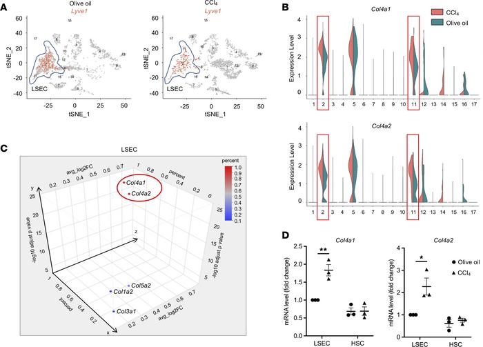 LSECs are the main source of Col4a1 and Col4a2 in healthy and pathologic...