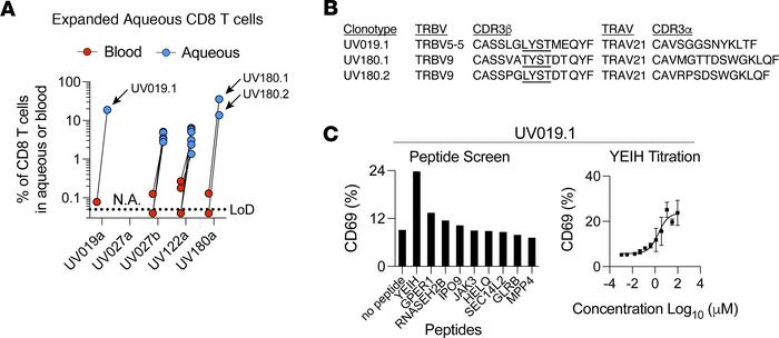 Identification of an expanded TRBV5-5 CD8+ T cell clonotype in B27AAU th...
