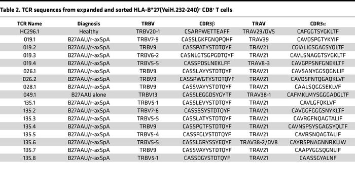 TCR sequences from expanded and sorted HLA-B*27(YeiH.232-240)+ CD8+ T cells