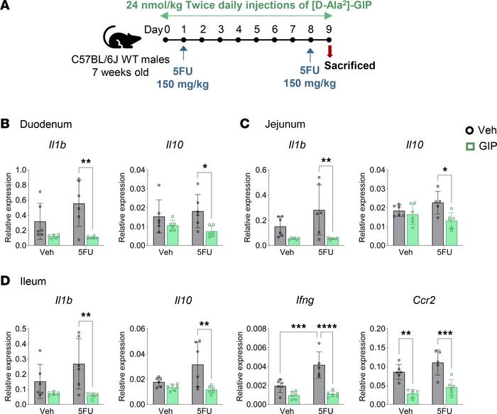 Treatment with [D-Ala2]-GIP downregulates cytokine gene expression in th...