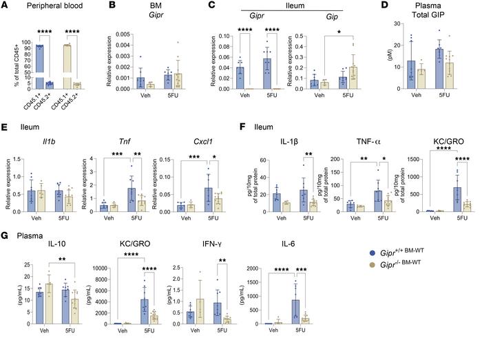 BM-derived Gipr-expressing cells suppress 5FU-induced gut inflammation i...