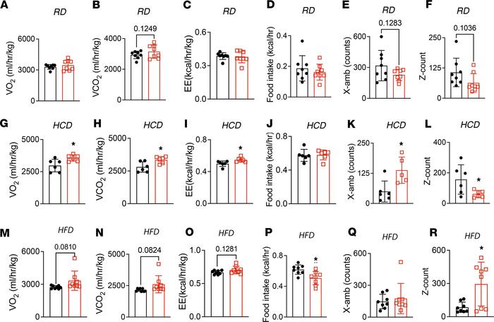 TβRIIocy–/– mice exhibit metabolic protection against the effects of hig...