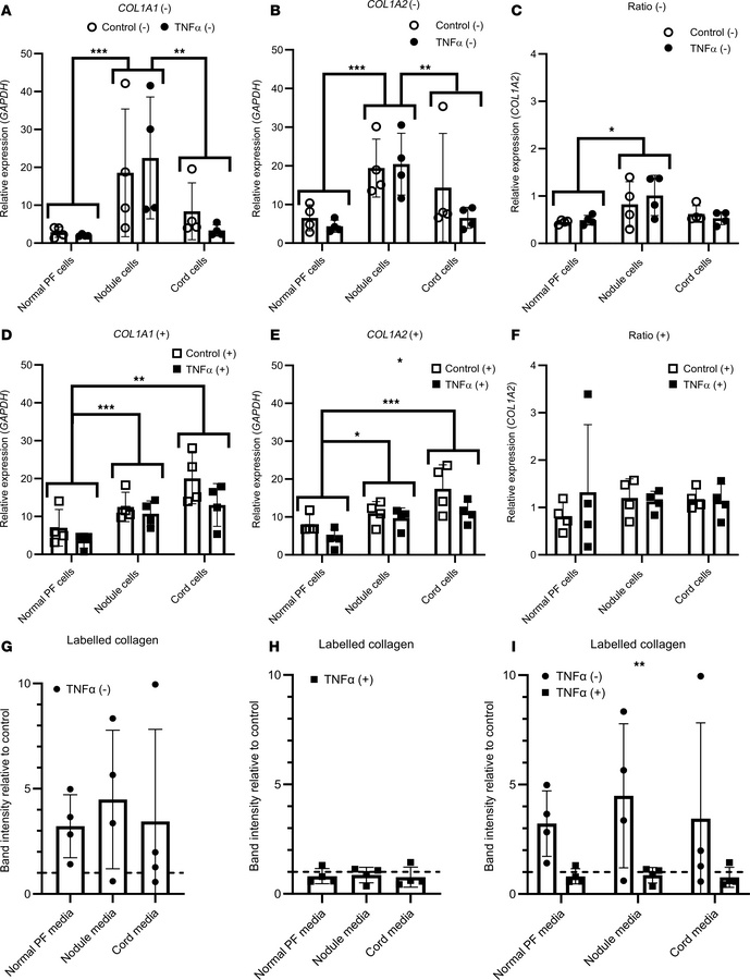 Effect of TNF-α on type I collagen gene expression and collagen protein ...