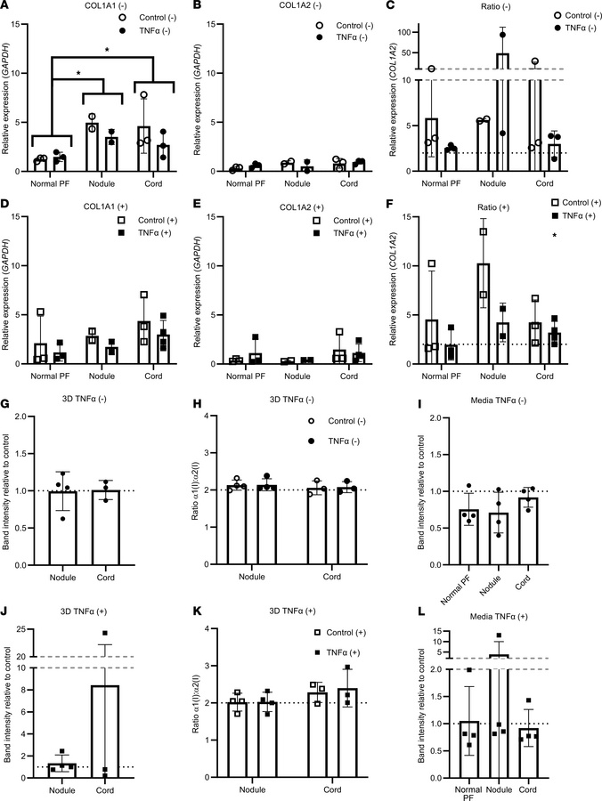 TNF-α has minimal effects on type I collagen synthesis in 3D tendon–like...