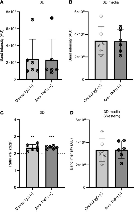 Anti–TNF-α does not reduce type I collagen synthesis in precontracted 3D...
