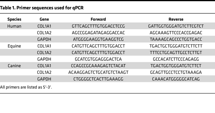 Primer sequences used for qPCR