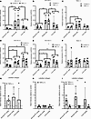 Effect of TNF-α on type I collagen gene expression and collagen protein pro